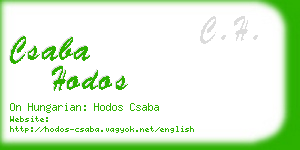 csaba hodos business card